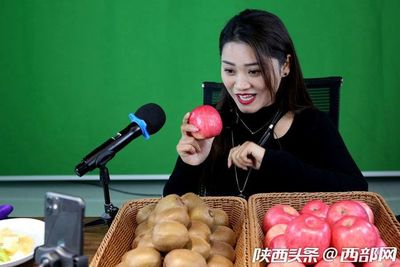 專業合作社引領，果農增收致富路——扶風獼猴桃實現全年供應與銷售新突破